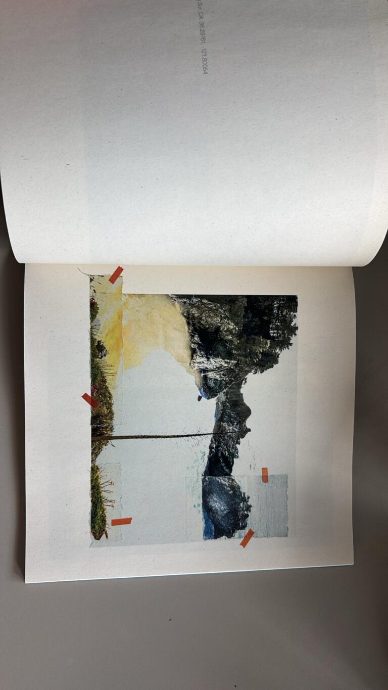 WhatsApp Image 2025 08 04 at 17.26.24