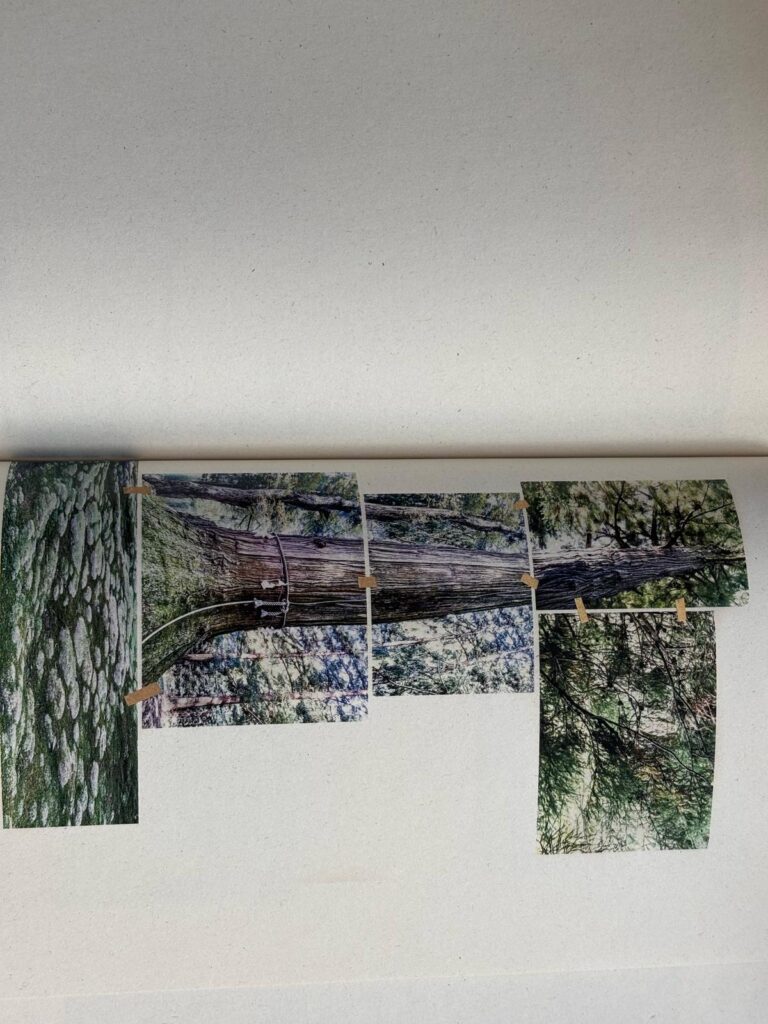 WhatsApp Image 2025 08 04 at 17.26.25 2