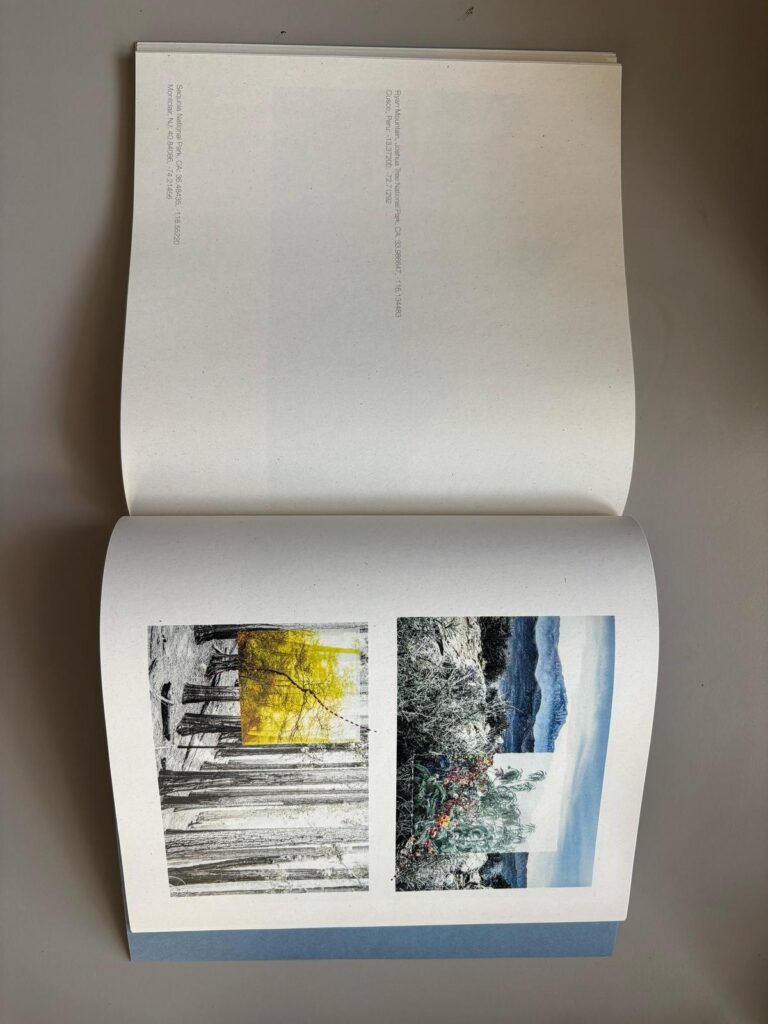 WhatsApp Image 2025 08 04 at 17.26.25 3