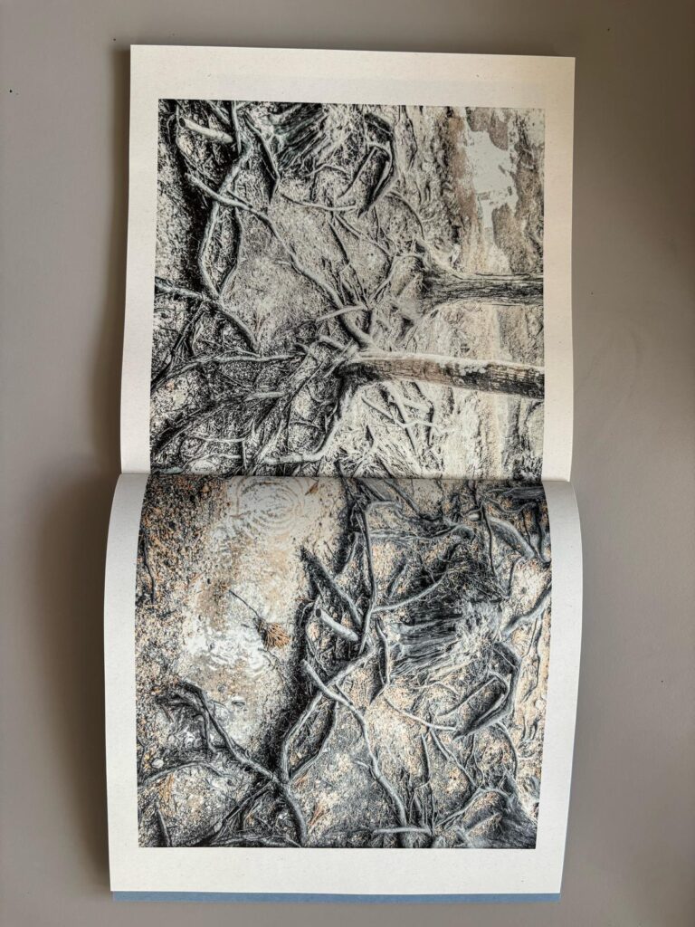 WhatsApp Image 2025 08 04 at 17.26.25 4