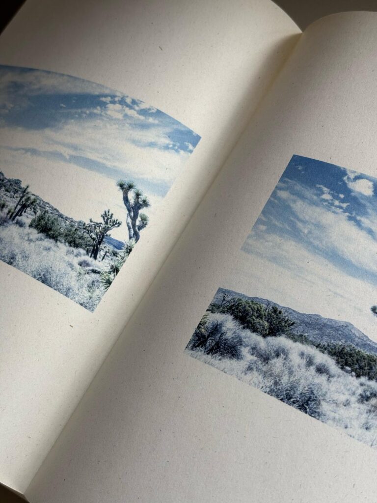 WhatsApp Image 2025 08 04 at 17.26.25 6