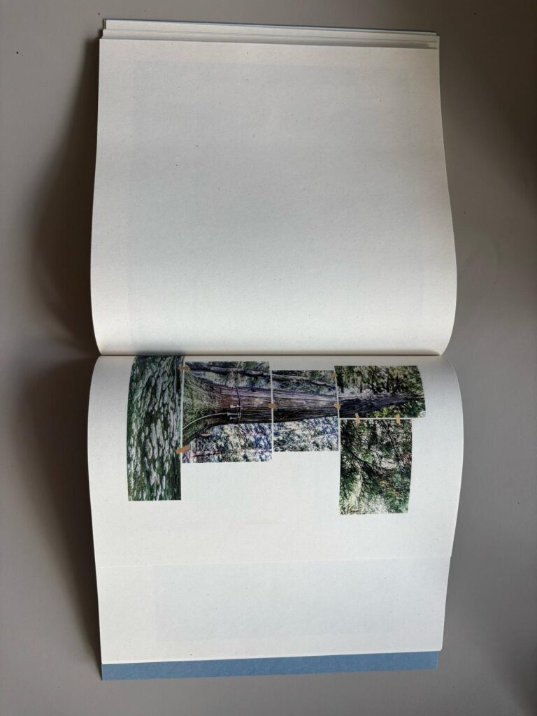 WhatsApp Image 2025 08 04 at 17.26.25 8