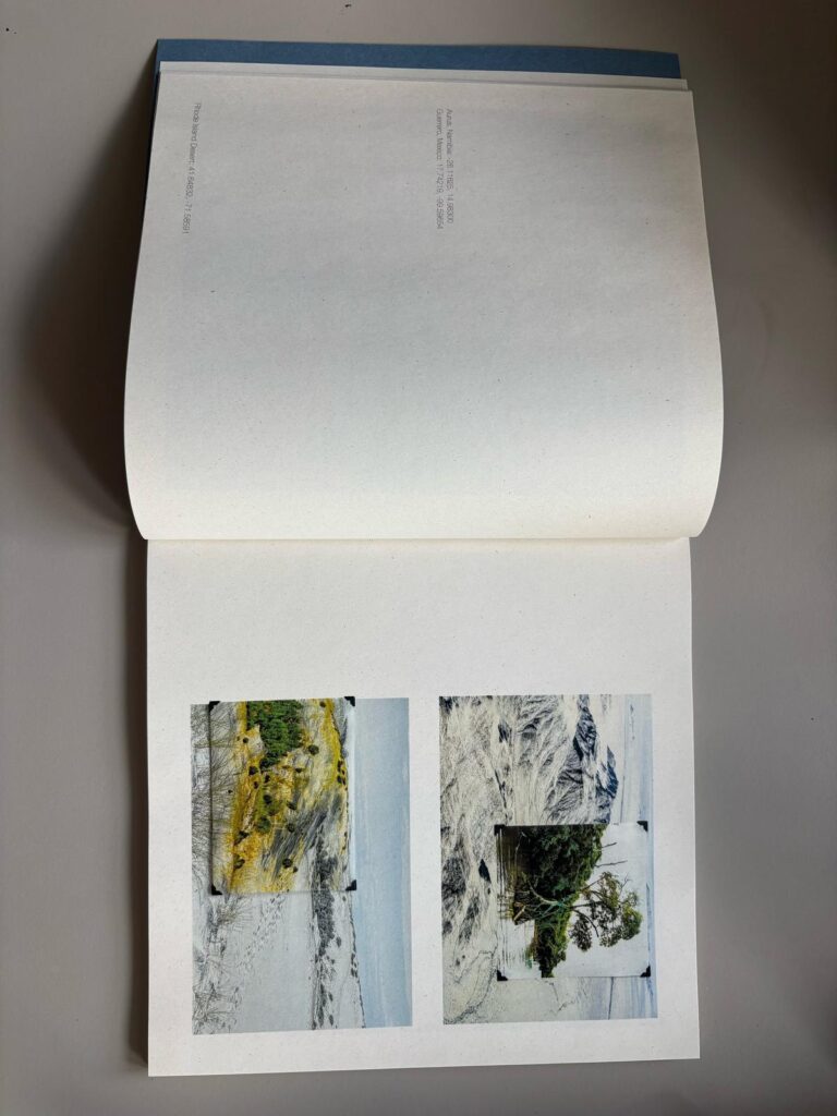 WhatsApp Image 2025 08 04 at 17.26.26 3