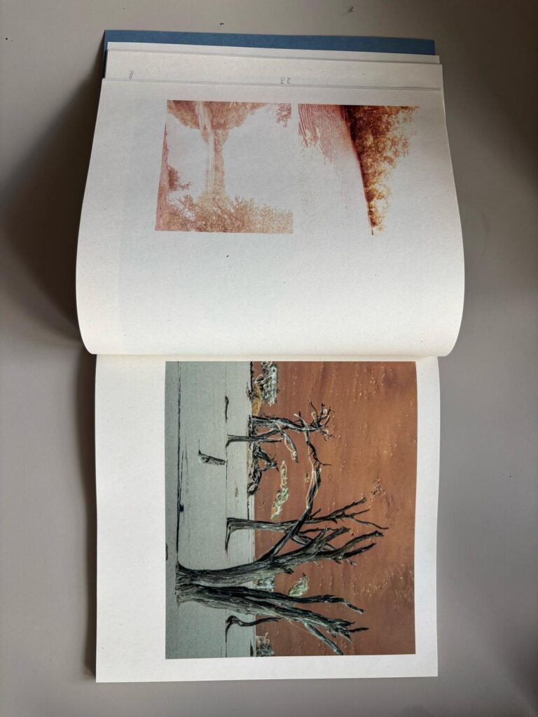 WhatsApp Image 2025 08 04 at 17.26.26 4